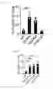 Fig. 18 - Human-derived bacteria that induce proliferation or accumulation of regulatory T cells