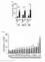 Fig. 20 - Human-derived bacteria that induce proliferation or accumulation of regulatory T cells
