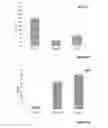 Fig. 03 - COMBINED COMPOSITIONS FOR CONTROLLING BLOOD SUGAR LEVELS, HEPATOPROTECTION, AND FOR PREVENTION AND TREATMENT OF RELATED MEDICAL CONDITIONS