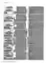 Fig. 09 - Composition containing angelica extract for promoting proliferation of stem cells derived from bone marrow