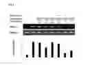 Fig. 05 - Composition comprising natural complex extract as active ingredient