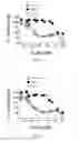 Fig. 03 - Peptide inhibitors of clostridium difficile toxin B (TcdB) toxin