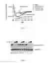 Fig. 08 - Peptide inhibitors of clostridium difficile toxin B (TcdB) toxin