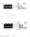Fig. 09 - Peptide inhibitors of clostridium difficile toxin B (TcdB) toxin