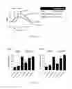 Fig. 12 - Peptide inhibitors of clostridium difficile toxin B (TcdB) toxin