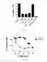 Fig. 25 - Peptide inhibitors of clostridium difficile toxin B (TcdB) toxin