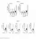 Fig. 06 - METHODS AND COMPOSITIONS FOR TREATMENT OF GAUCHER DISEASE VIA MODULATION OF C5A RECEPTOR