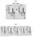 Fig. 11 - METHODS AND COMPOSITIONS FOR TREATMENT OF GAUCHER DISEASE VIA MODULATION OF C5A RECEPTOR