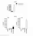 Fig. 17 - METHODS AND COMPOSITIONS FOR TREATMENT OF GAUCHER DISEASE VIA MODULATION OF C5A RECEPTOR