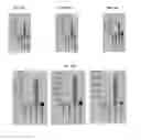 Fig. 29 - METHODS AND COMPOSITIONS FOR TREATMENT OF GAUCHER DISEASE VIA MODULATION OF C5A RECEPTOR