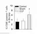 Fig. 01 - B7-H1 fusion polypeptides for treating and preventing organ failure