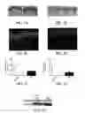 Fig. 07 - Topical erythropoietin formulations and methods for improving wound healing with and cosmetic use of the formulations
