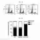 Fig. 09 - Composition for diagnosing, preventing, or treating vascular smooth muscle cell proliferative diseases using FGF12