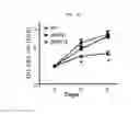 Fig. 11 - Composition for diagnosing, preventing, or treating vascular smooth muscle cell proliferative diseases using FGF12