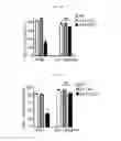 Fig. 16 - Composition for diagnosing, preventing, or treating vascular smooth muscle cell proliferative diseases using FGF12