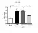 Fig. 28 - Composition for diagnosing, preventing, or treating vascular smooth muscle cell proliferative diseases using FGF12