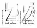 Fig. 13 - Methods of treating diseases associated with fibrosis using modified FGF-21 polypeptides and uses thereof