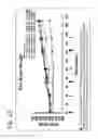 Fig. 15 - Methods of treating diseases associated with fibrosis using modified FGF-21 polypeptides and uses thereof
