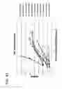 Fig. 47 - Methods of treating diseases associated with fibrosis using modified FGF-21 polypeptides and uses thereof