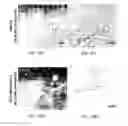 Fig. 58 - Methods of treating diseases associated with fibrosis using modified FGF-21 polypeptides and uses thereof
