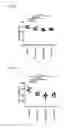 Fig. 79 - Methods of treating diseases associated with fibrosis using modified FGF-21 polypeptides and uses thereof