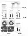 Fig. 05 - Treating cardiovascular or renal diseases