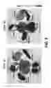 Fig. 10 - Treating cardiovascular or renal diseases
