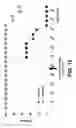 Fig. 11 - Treating cardiovascular or renal diseases