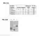 Fig. 12 - Rapid action insulin formulations and pharmaceutical delivery systems