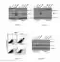 Fig. 07 - TARGETING MDA-5 ACTIVATION FOR CANCER IMMUNOTHERAPY