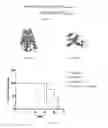 Fig. 16 - TARGETING MDA-5 ACTIVATION FOR CANCER IMMUNOTHERAPY