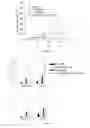 Fig. 19 - TARGETING MDA-5 ACTIVATION FOR CANCER IMMUNOTHERAPY