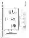 Fig. 67 - Methods for inducing partial apoptosis using caspase polypeptides
