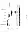 Fig. 03 - Methods for inducing selective apoptosis
