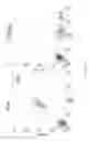 Fig. 11 - Methods for inducing selective apoptosis