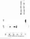 Fig. 15 - Methods for inducing selective apoptosis