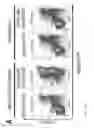 Fig. 22 - Methods for inducing selective apoptosis