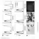 Fig. 27 - Methods for inducing selective apoptosis
