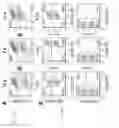 Fig. 28 - Methods for inducing selective apoptosis