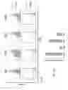 Fig. 11 - Identification of CD8T cells that are CD161and/or IL18R(α)and have rapid drug efflux capacity