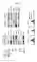 Fig. 04 - TECHNOLOGY FOR CONTROLLING IMMUNE CELLS