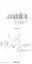 Fig. 05 - Fusion proteins comprising modified alpha virus surface glycoproteins and tumor associated antigen and methods thereof