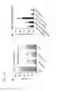 Fig. 23 - Inflammasome activators and methods of use to treat tumors