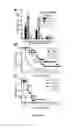 Fig. 03 - Staphylococcal coagulase antigens and methods of their use
