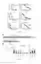 Fig. 06 - Staphylococcal coagulase antigens and methods of their use
