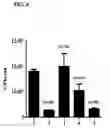 Fig. 05 - Compositions and methods for detecting, treating, and protecting against infection