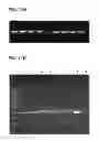 Fig. 12 - Compositions and methods for detecting, treating, and protecting against infection