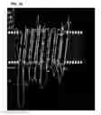 Fig. 19 - Compositions and methods for detecting, treating, and protecting against infection