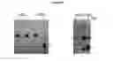 Fig. 104 - Influenza hemagglutinin proteins and methods of use thereof