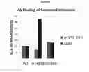 Fig. 107 - Influenza hemagglutinin proteins and methods of use thereof